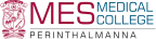 mes-logo-1-1